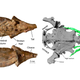 Tisser et al, PeerJ (2017)